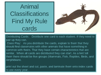 Preview of Animal Classifications Find my Rule Flashcards