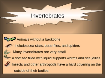 Animal Classifications -vertebrates invertebrates PowerPoint | TPT