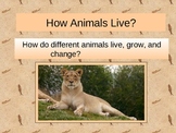 Animal Classifications -vertebrates invertebrates PowerPoint