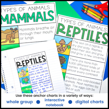 mammals chart