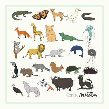 Animal Clip Art Bundle by Kari's Scribbles | TPT