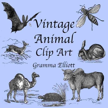 Preview of Animal Clip Art - Vintage Style - Realistic Assortment