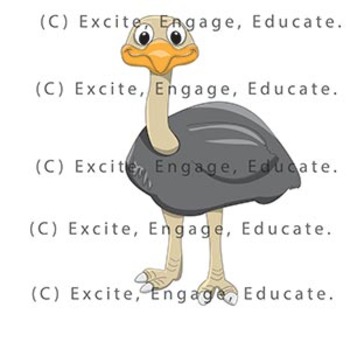 Animal Clipart - Cartoon Emu by Excite Engage Educate | TPT
