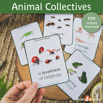 Preview of Animal Collective Noun Cards | Collective Nouns Cards | Collective Nouns birds