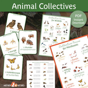 Preview of Animal Collective Nouns PACK | Collective Nouns BUNDLE| Wildlife Collective Noun