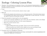 Zoo Animals Lesson Plan: eBook and Activities