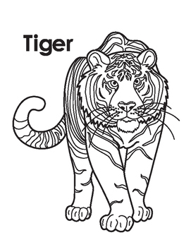 Animal Coloring Page: Tiger by Megan Nedds | TPT