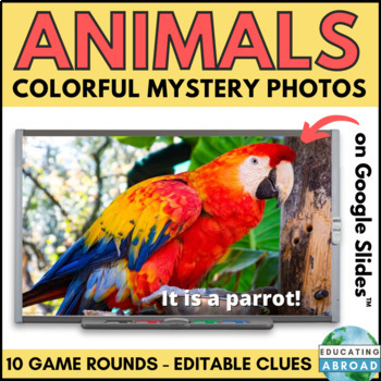 Animal Colors Guessing Game | Brain Break or Fun Friday Whole Class  Activity 17