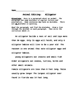 Preview of Animal Comprehension Paragraph Punctuation Editing Worksheets (Bundle 1)