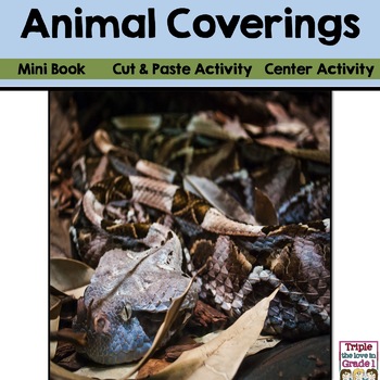 Preview of Animal Coverings