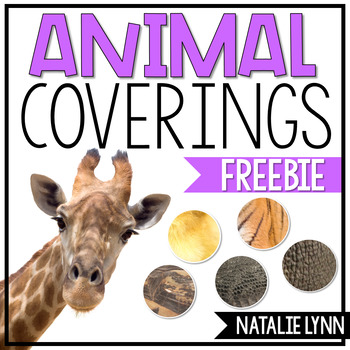 Animal Coverings by Natalie Lynn Kindergarten | Teachers Pay Teachers