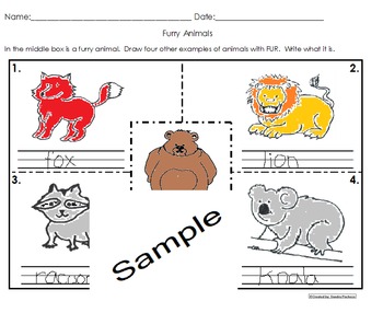 Preview of Animal Coverings Activities Pack Science