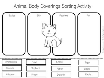 Animal Coverings Worksheet | Animal Coverings Skin Fur Feathers Scales