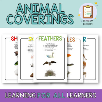 Preview of Animal Coverings - Review Lesson & Answers