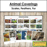 Animal Coverings (Scales, Feathers, and Fur) - Sorting Car