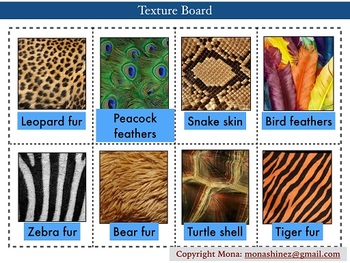 Animal Body Coverings Unit Resources by The Innovius Ideas | TpT