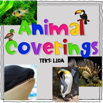 Preview of Animal Coverings and Characteristics