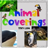 Animal Coverings and Characteristics