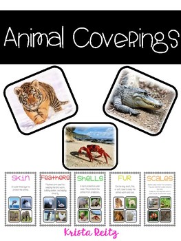 Animal Coverings skin, feathers,scales, shells, fur by Krista Reitz