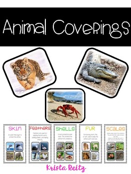 Preview of Animal Coverings {skin, feathers,scales, shells, fur}