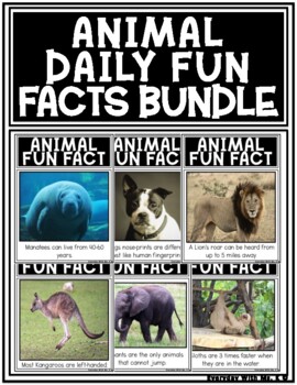 Animal Daily Fun Facts Bundle Morning Meeting Calendar Pack | TPT