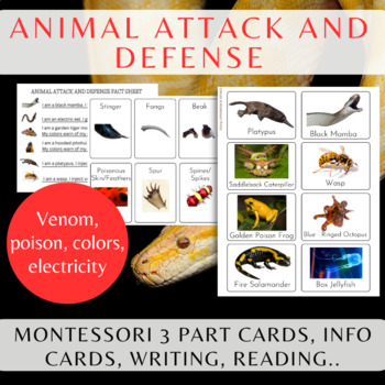 Preview of Animal Defense Mechanisms/Montessori 3 Part Cards/Writing/Informational Text