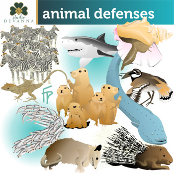 Animal Adaptations Clip Art Set by Studio Devanna