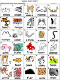 Animal Description - Bundle ( 5 worksheets including Anima