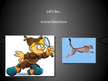 Preview of Animal Detectives! Animal Classification