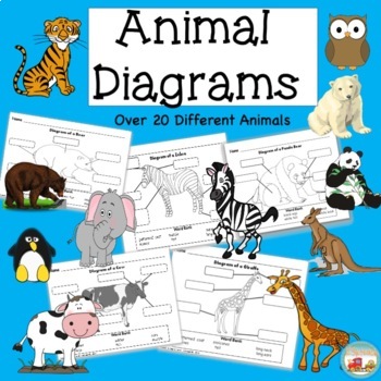 Preview of Animal Diagrams, Pets, Farm , Arctic, Grassland and Zoo Animals