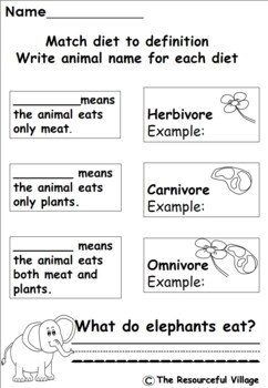 Kindergarten - 1st Grade Animal Diet Activities - Animal Unit | TPT