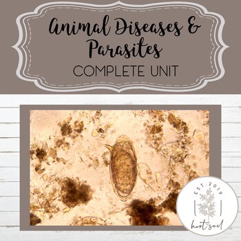 Preview of Animal Disease and Parasite Lesson