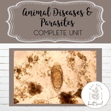 Animal Disease and Parasite Lesson