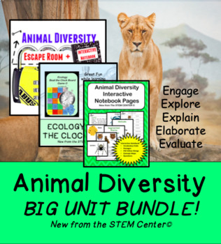 Preview of Animal Diversity: BIG UNIT Bundle