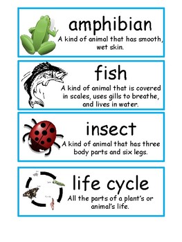 Animal Diversity Vocabulary Words by TeachingFrenzy | TpT