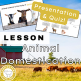 Animal Domestication Lesson Pack: Slides & Quiz for High S
