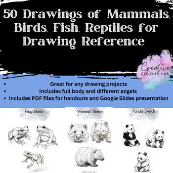 Preview of Animal Drawings for Art Reference, including Mammals, Fish, Birds, and Reptiles