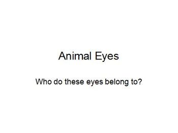 Preview of Animal Eyes