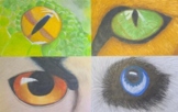 Animal Eyes Drawing Project for Art Class or Distance Lear