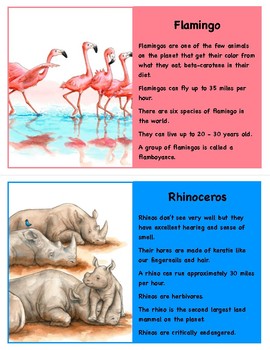 Preview of Animal Fact Cards