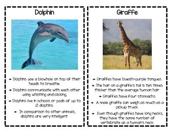 Animal Fact Cards by Early Childhood Resource Center | TpT