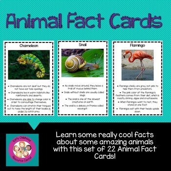 Animal Fact Cards by Early Childhood Resource Center | TPT