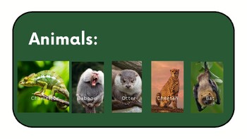 Preview of Animal Fact Finding (Look Like, Eat, Habitat)