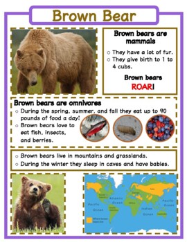 animal fact file cards