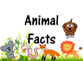 Animal Facts + Animal Projects + Bonus Ocean Animals Content | TPT