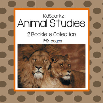Preview of Animal Facts Booklets Activities Collection - 12 Animal Studies