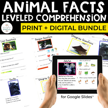 Preview of Animal Facts Leveled Comprehension Bundle (Comprehension for Special Ed)