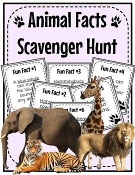 animals that are scavengers
