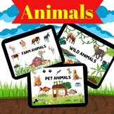Animal-Farm,Pet & Wild Flash Cards