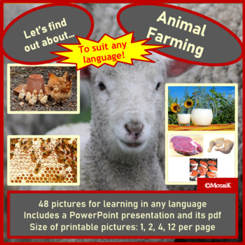 Preview of Animal Farming Livestock Picture cards Exploring